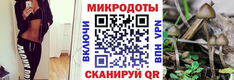 купить Пучеж MEGA ТОР Псилоцибиновые грибы Psilocybe